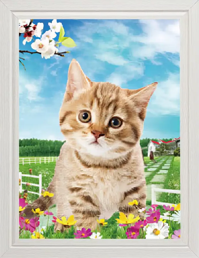 Рыжий котёнок в саду